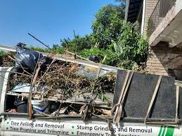 Best Shed Removal  in Grand Marais, MN