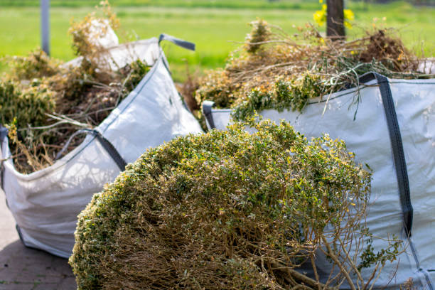 Best Recycling Services for Junk  in Grand Marais, MN